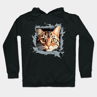 Cat lover Hoodie